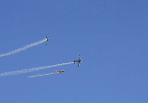 muselknipser DE-Lux-Airshow-10-100626-0038