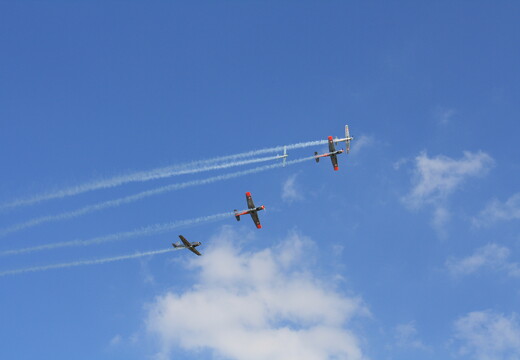 muselknipser DE-Lux-Airshow-10-100626-0107
