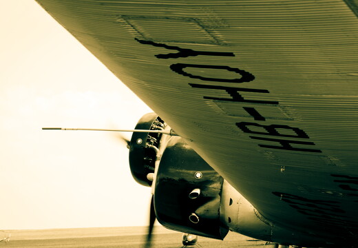 muselknipser DE-Lux-Airshow-10-100626-0127