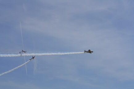 muselknipser DE-Lux-Airshow-10-100627-0046