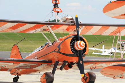 muselknipser DE-Lux-Airshow-10-100627-0048