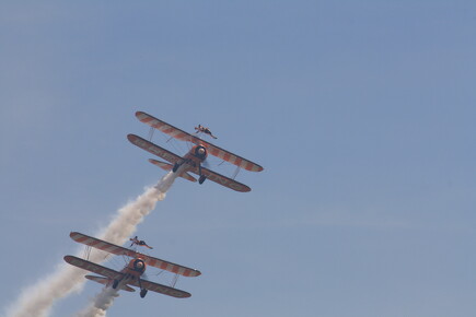 muselknipser DE-Lux-Airshow-10-100627-0083