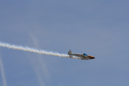 muselknipser DE-Lux-Airshow-10-100627-0088