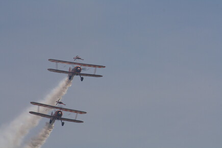 muselknipser DE-Lux-Airshow-10-100627-0122