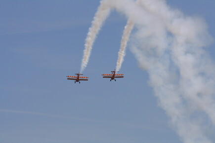 muselknipser DE-Lux-Airshow-10-100627-0134