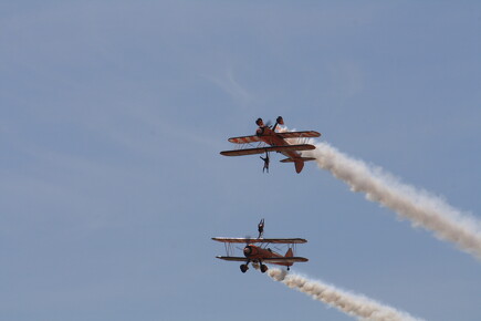 muselknipser DE-Lux-Airshow-10-100627-0139