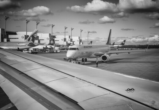 muselknipser DE-Muselknipser-24-034519-0002