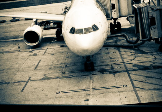 muselknipser DE-Muselmaverick-10-100503-0038