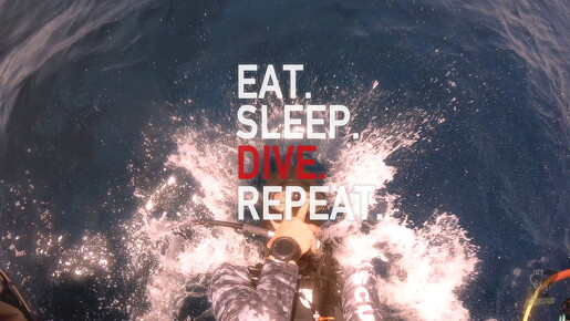 backdrop eatsleepdive - 1-2