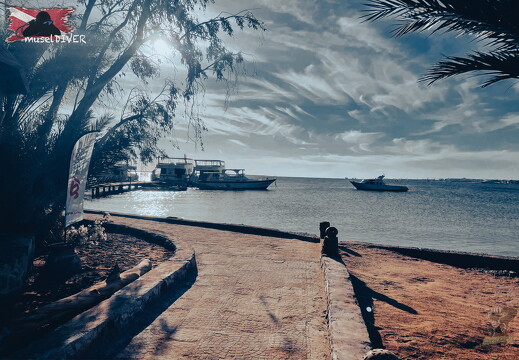 backdrop eatsleepdive - 1