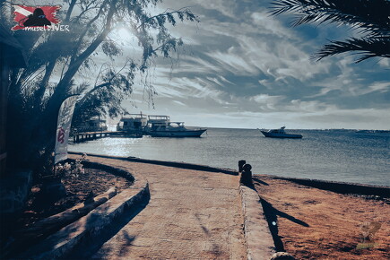 backdrop eatsleepdive - 1