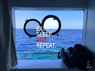 backdrop eatsleepdive - 10