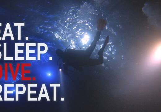 backdrop eatsleepdive - 11