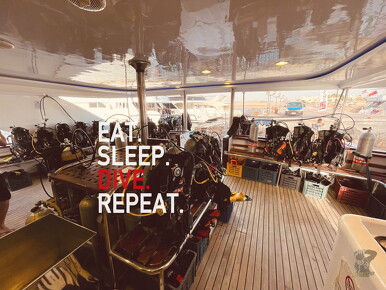 backdrop eatsleepdive - 13