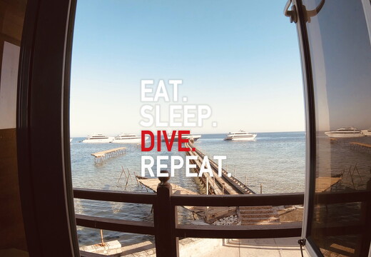 backdrop eatsleepdive - 20