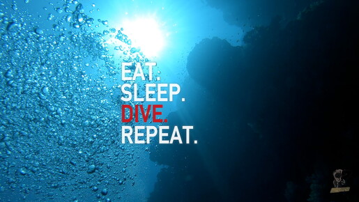 backdrop eatsleepdive - 22