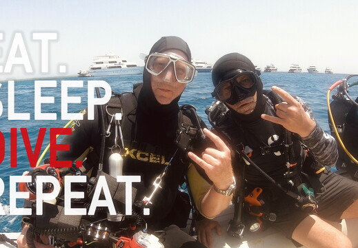 backdrop eatsleepdive - 25