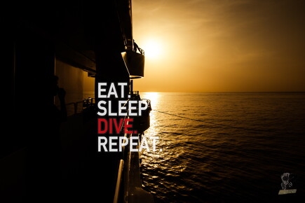 backdrop eatsleepdive - 26