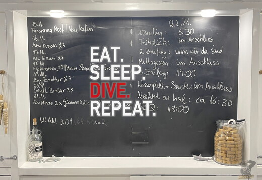 backdrop eatsleepdive - 28