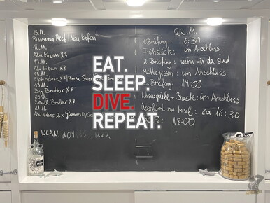 backdrop eatsleepdive - 28