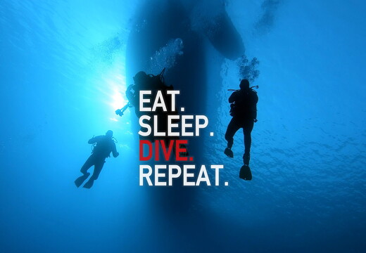 backdrop eatsleepdive - 8