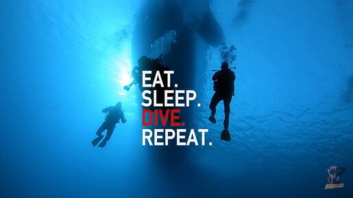 backdrop eatsleepdive - 8