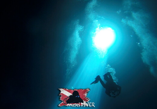 backdrop museldiver logo - 12