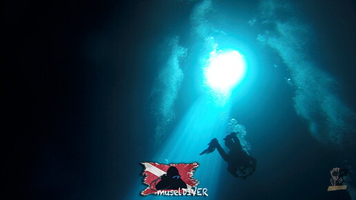backdrop museldiver logo - 12
