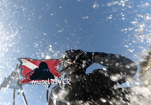 backdrop museldiver logo - 18