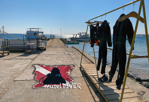 backdrop museldiver logo - 22