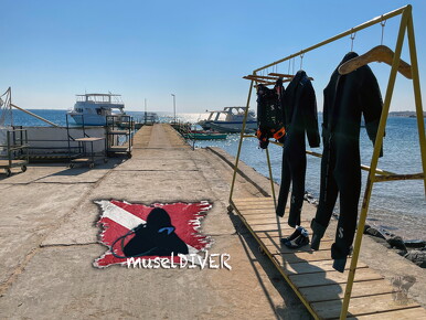 backdrop museldiver logo - 22