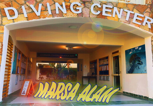marsaalam primary