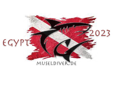 museldiver-artwork LR-16-0016