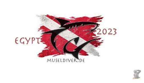 museldiver-artwork LR-16-0016