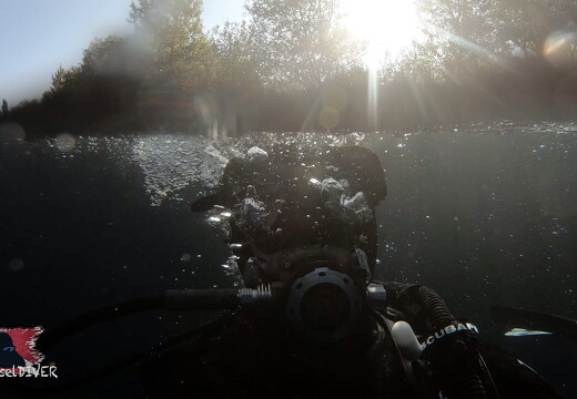 museldiver-artwork LR-17-0017