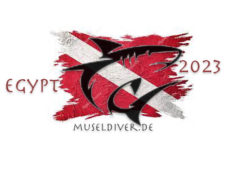 museldiver egypt 2023
