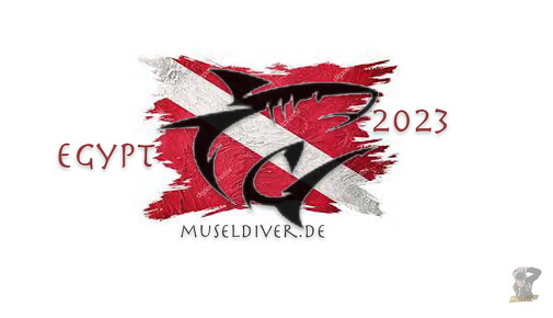 museldiver egypt 2023