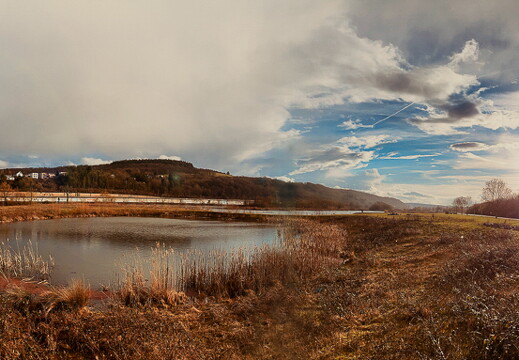 panorama moselufer