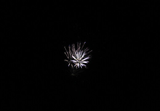 732236215 LR-ORI 0249 10-07-10 33352-1344-027 100710