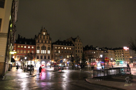 -732236215 Stockholm - Schweden - 00096-2562-  101112