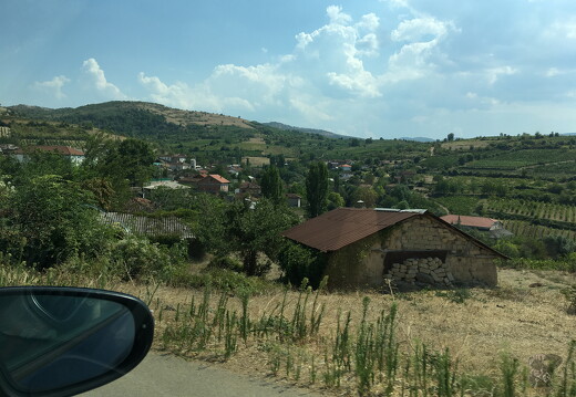 10-10891IMG 0087