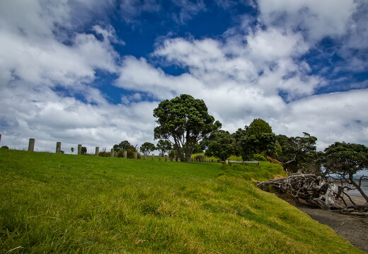 LR-Landscape 4101121 21-11-10 034488