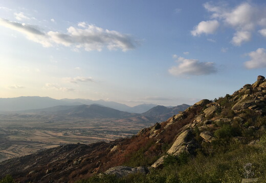 LR-ORI 11281 30-08-17 24669