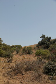 LR-ORI 11920 02-10-10 11526