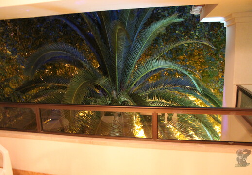 LR-ORI 13521 13-08-10 07591