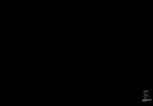 LR-ORI 6002 07-12-10 07902