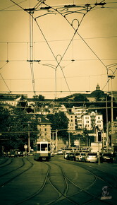LR-ORI 8529 02-07-10 09260