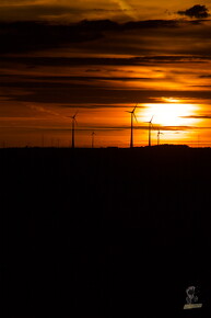 LR-SHOOTING-6 05252014-05-14 047967