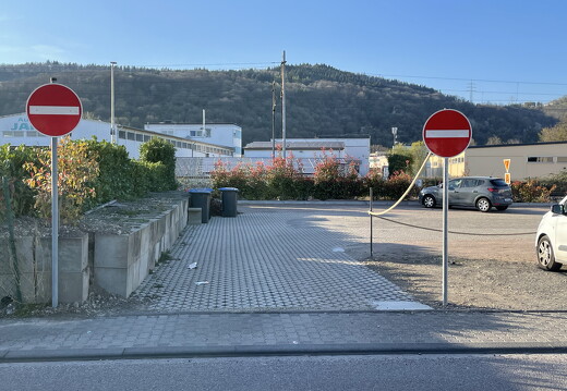 IMG 0418