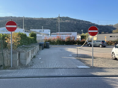 IMG 0418